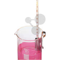 Clip pour thermomètre