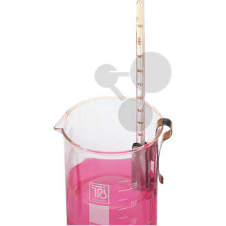 Clip pour thermomètre